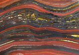 Polished Tiger Iron Stromatolite - ( Billion Years) #63999-1